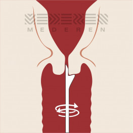 Gynecological Ayre’s Spatula