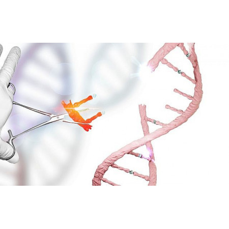 /uploads/news/world/10.2018/gene-editing-640x400.jpg
